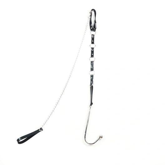 Anal Leash 5853 Kinky and Hook EverydayUse with Collar 0927